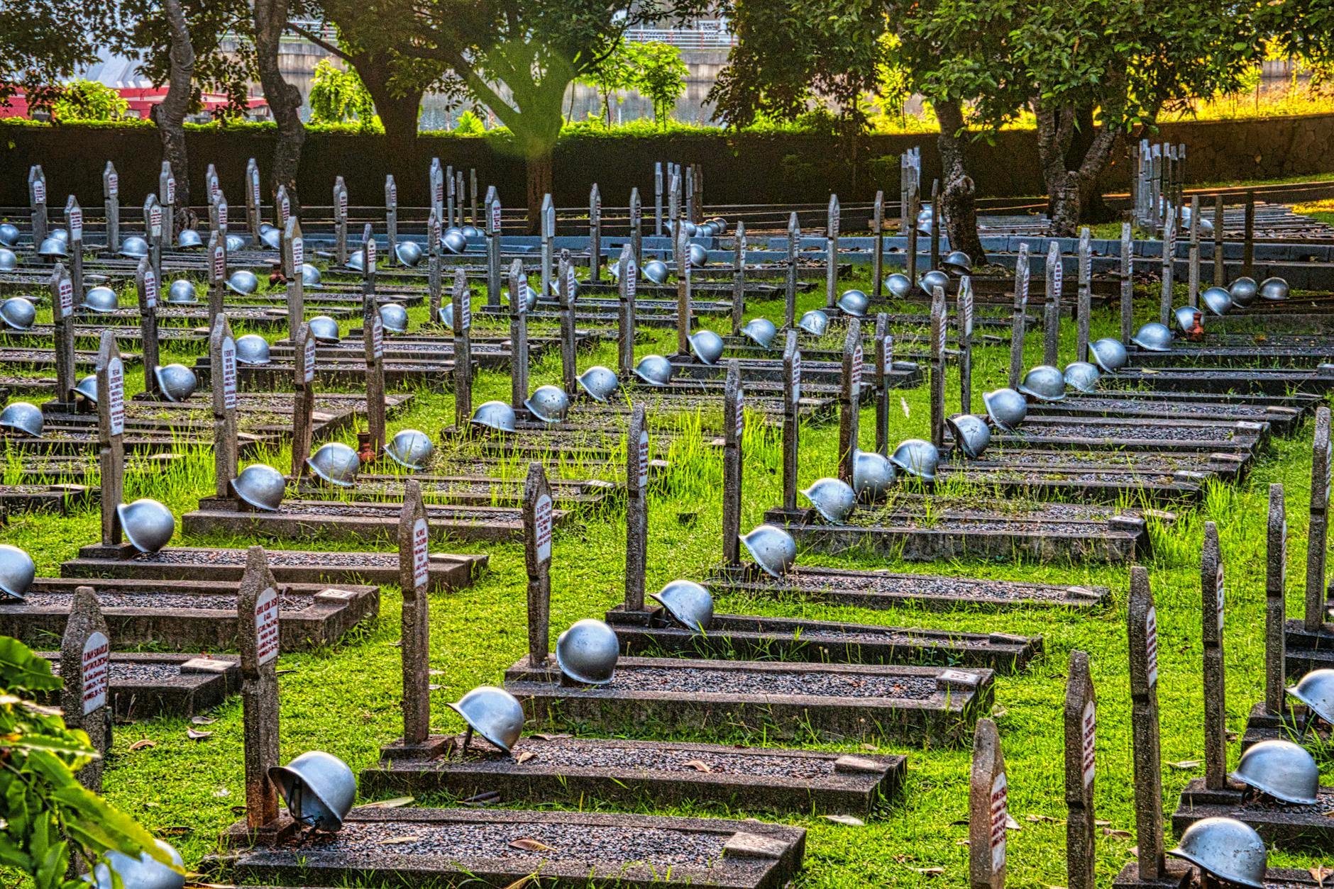 The Autoimmune Factor — Hashimoto's, Graves', and Alopecia Areata