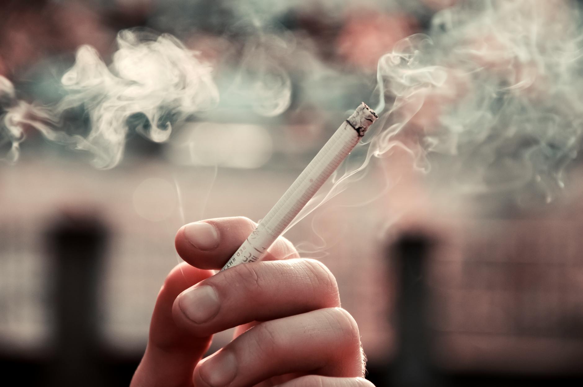 The Brain Health and Youth Harm Connection