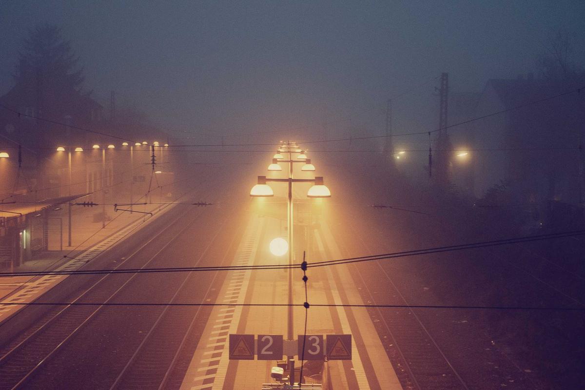 The Broader Problem of Herbal Supplement Safety in Dementia Care