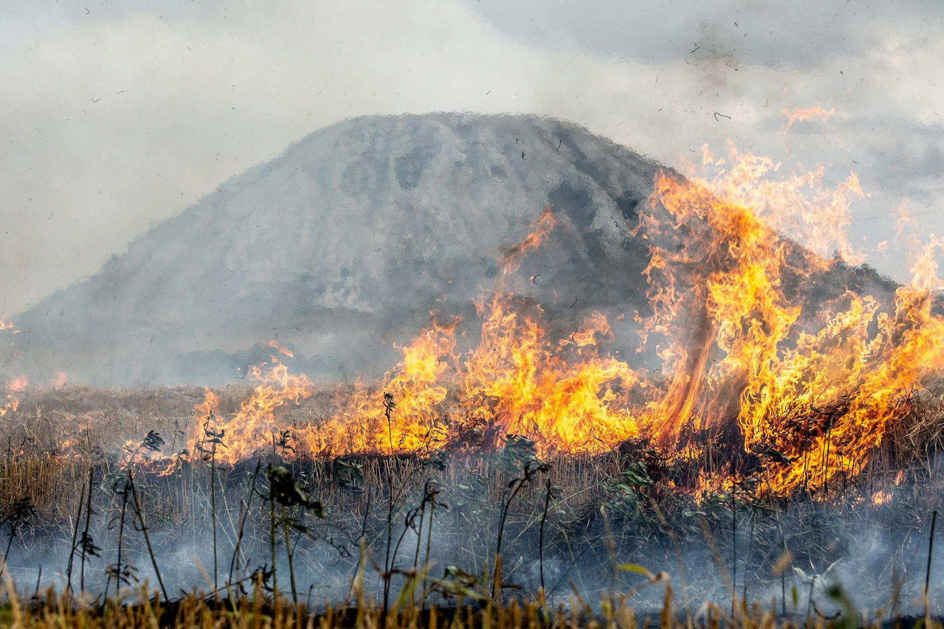 The Cognitive and Neurological Stakes of Uncontrolled Acromegaly