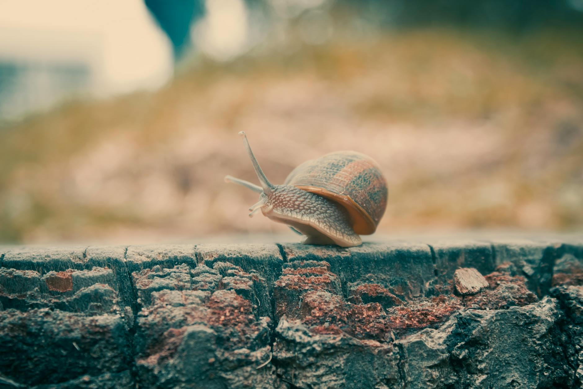 The FDA's Slow Response and What It Means for Patients