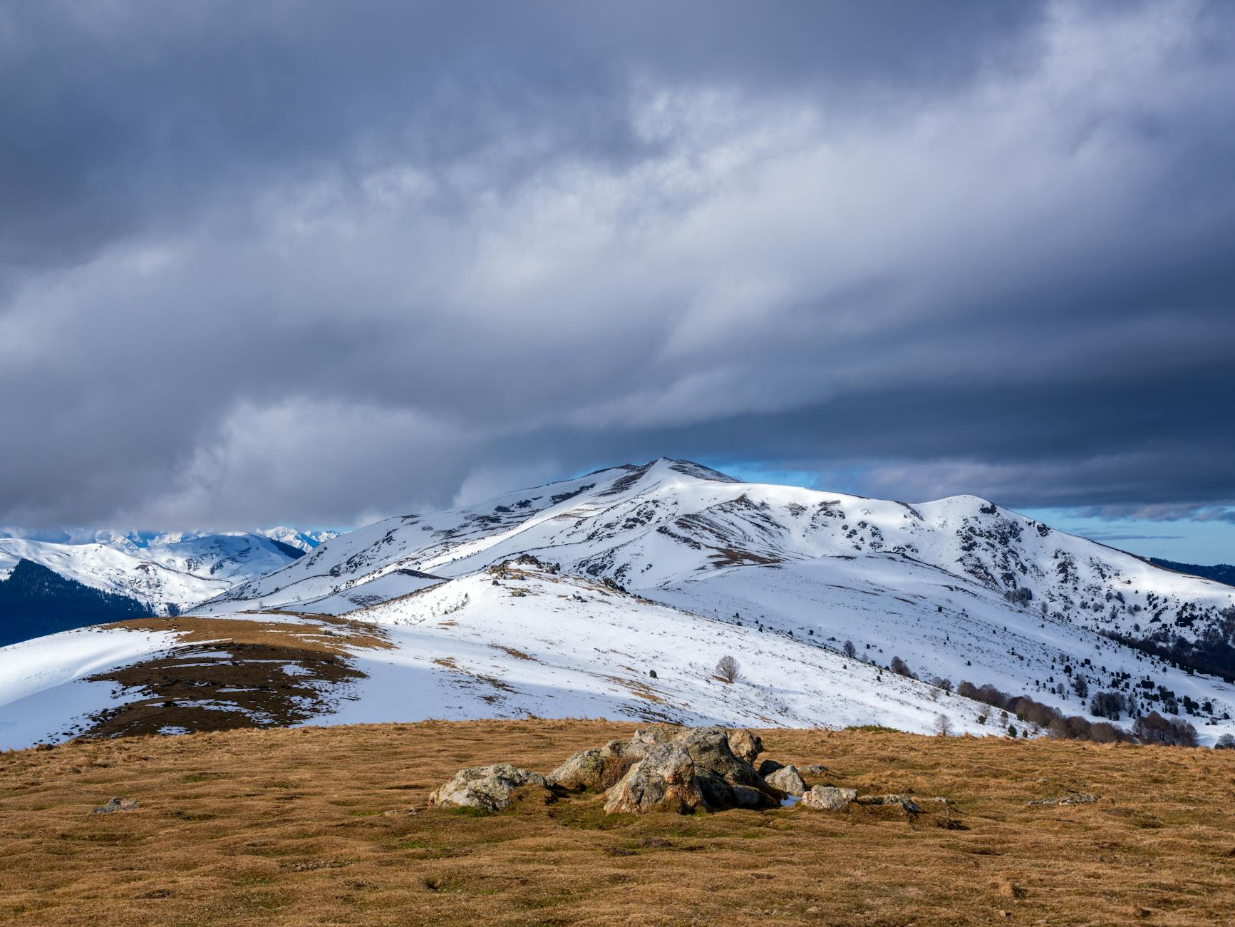 The Joe Tippens Protocol and Why Anecdotal Cases Are Not Proof