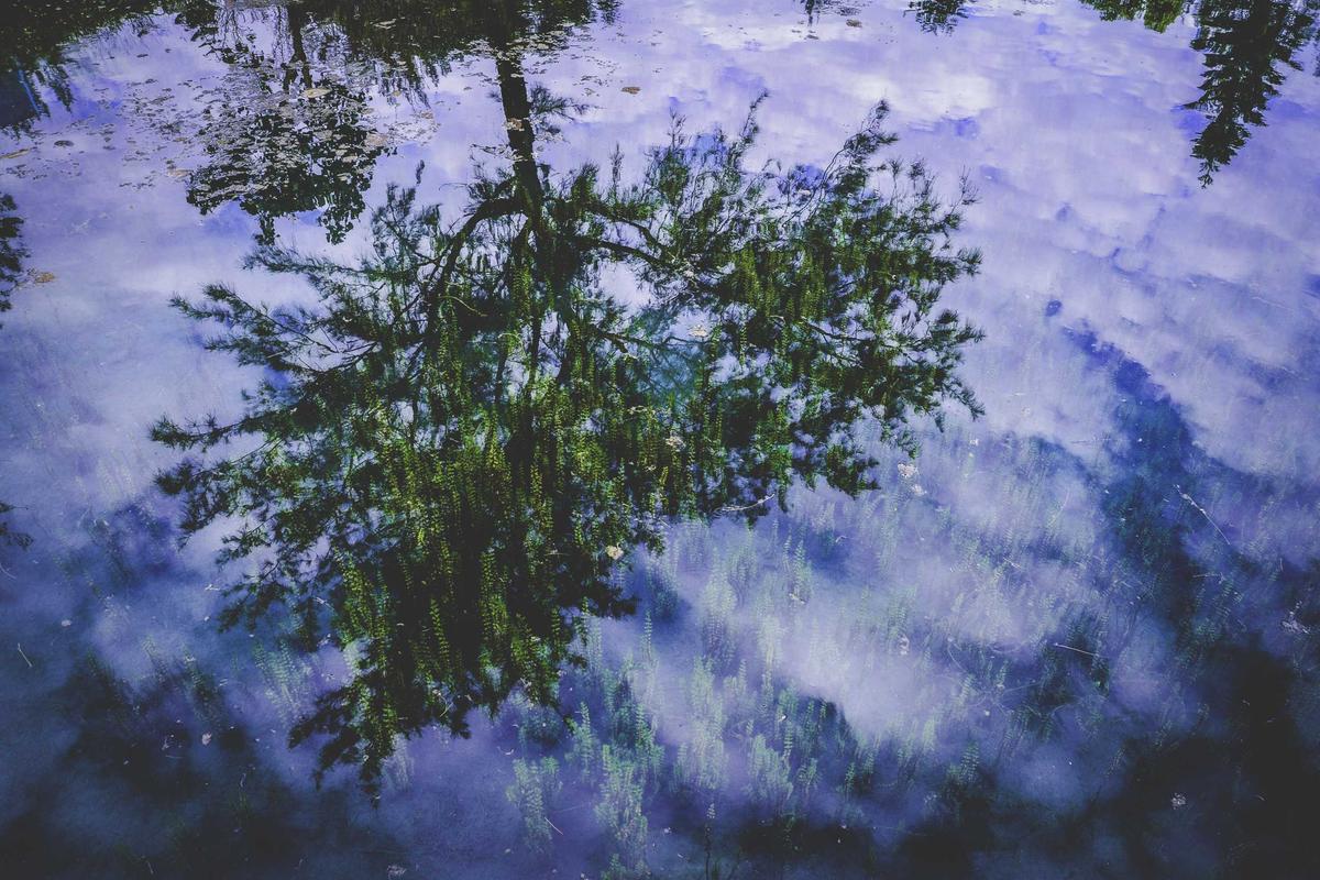 The Modified Curl-Up and Avoiding Harmful Progressions