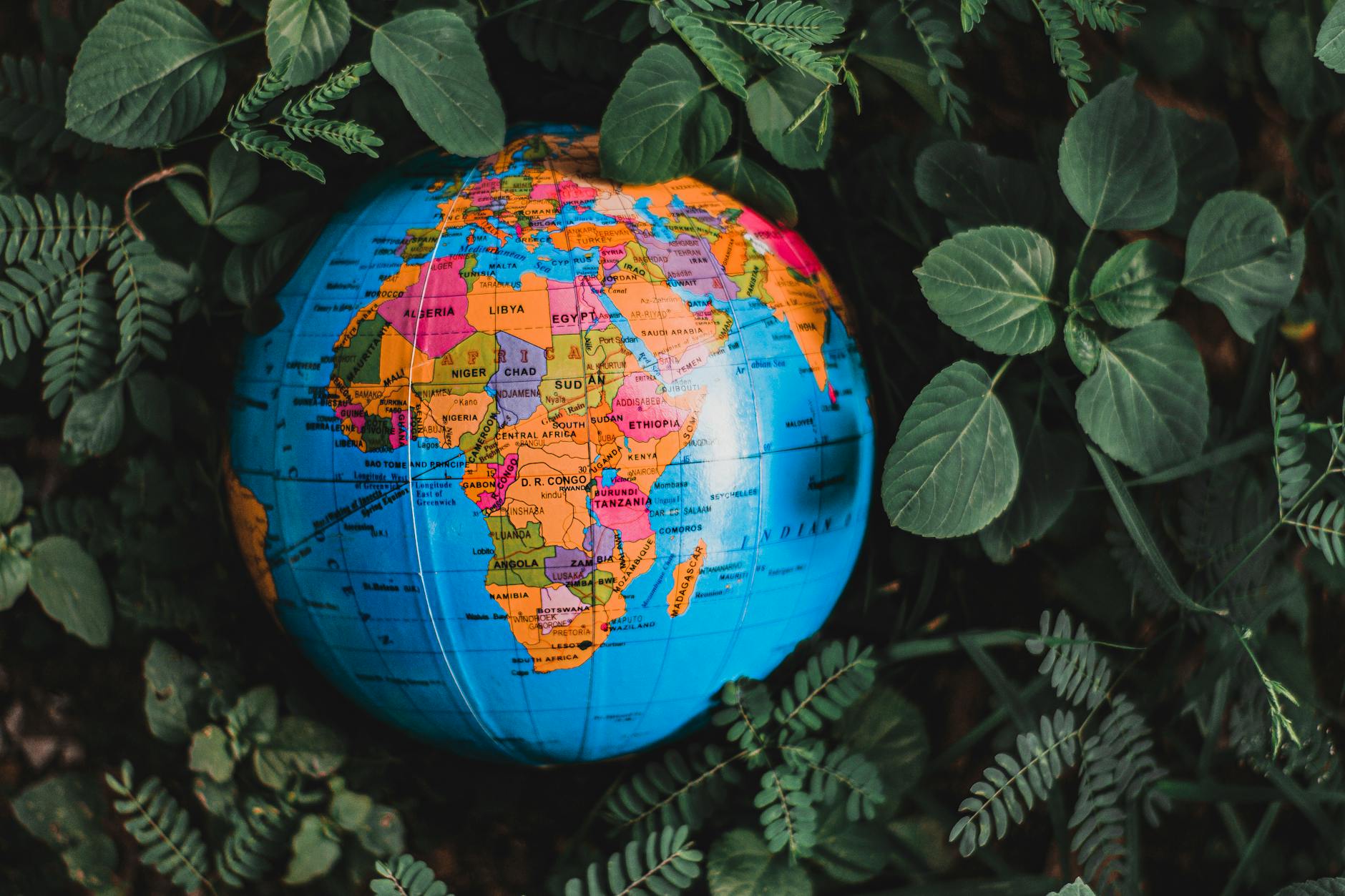 The Real-World Impact on Travelers