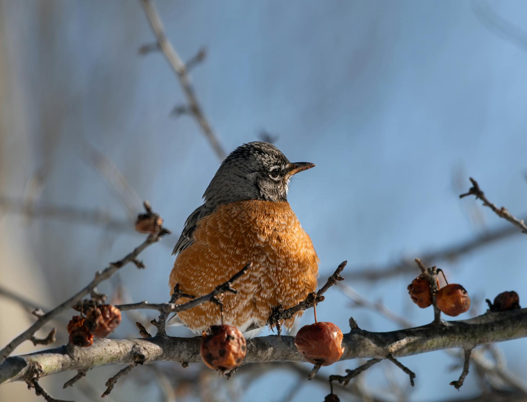 The Safety Picture, Including a Major 2025 FDA Update