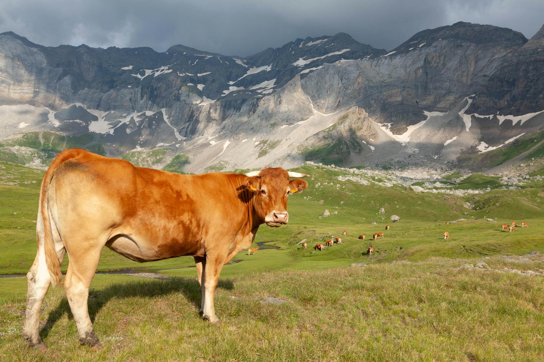 The Stanford SAINT Protocol — A Potential Game-Changer for Severe Depression