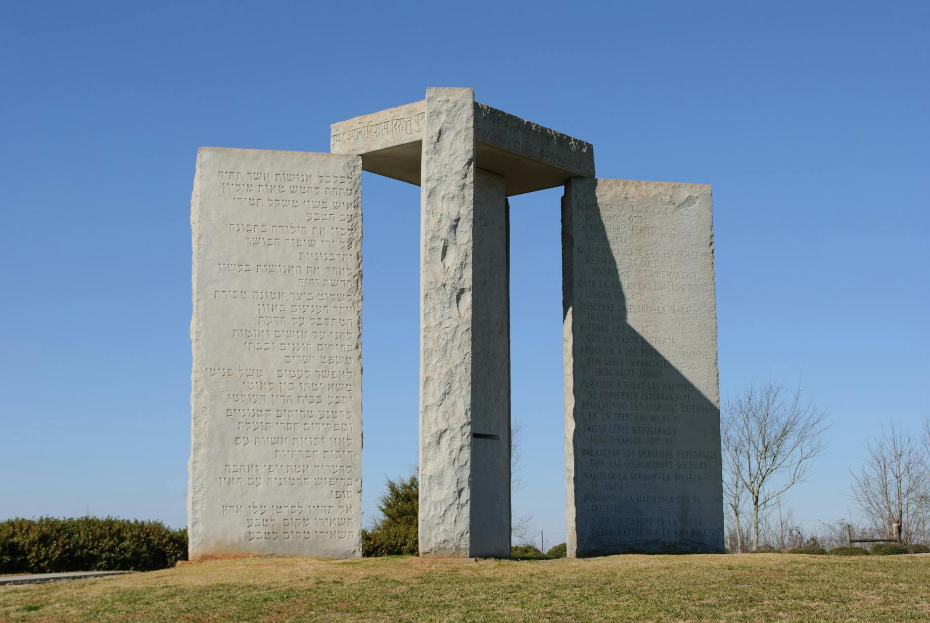 The Steady-State Principle and Why Timing Blood Draws Matters