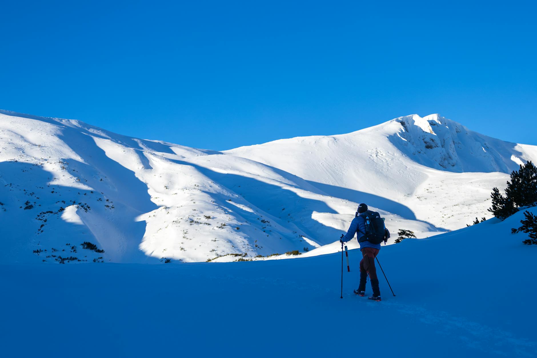 The Winter Challenge and Recent Cold Events