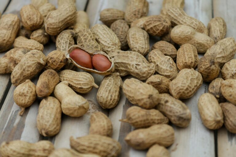 This Immunotherapy for Peanut Allergy Changes Food Allergy Treatment Forever - Featured image