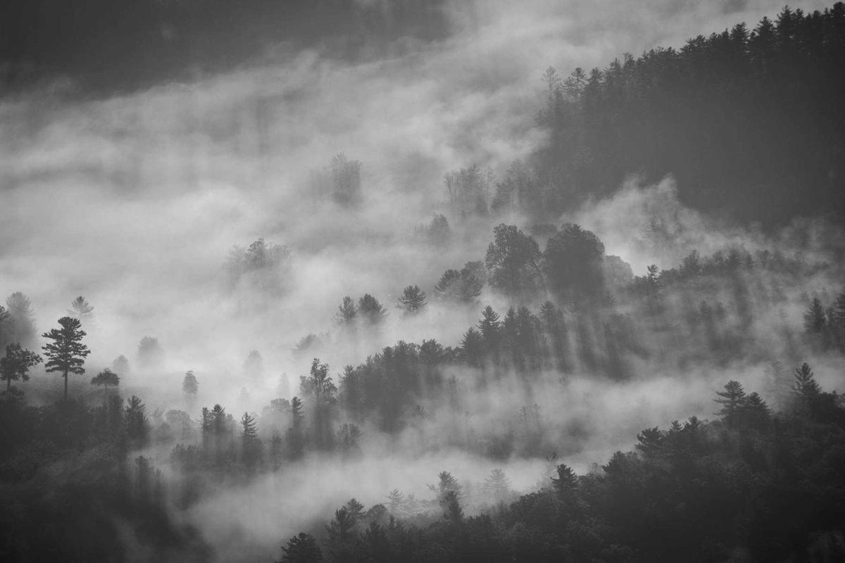 War Powers and Constitutional Authority—The Unspoken Split