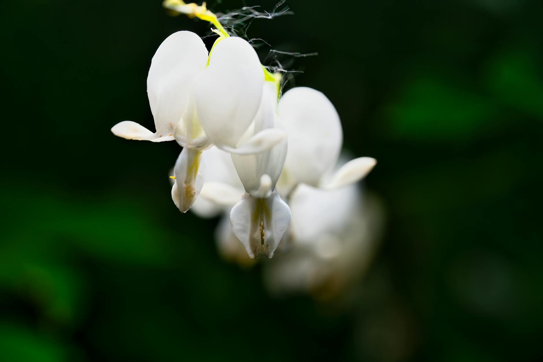 Warfarin and NSAIDs: The Bleeding Risk Hiding in Every Medicine Cabinet