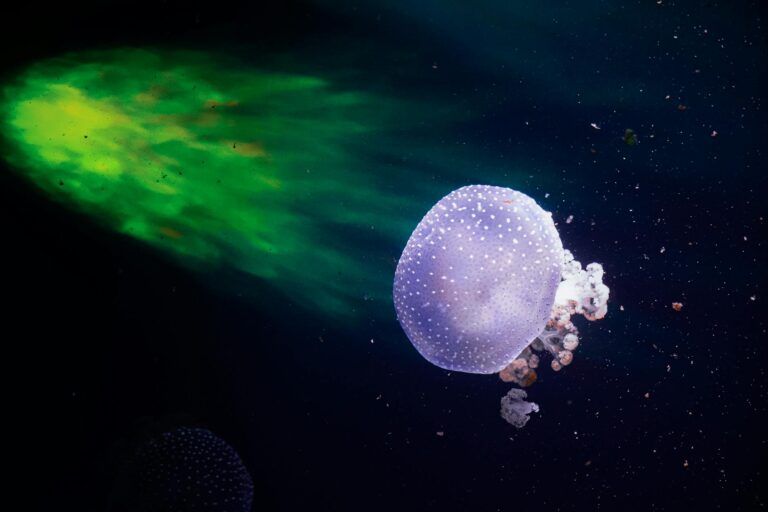 Warfarin Dosing by DNA: How Genetic Testing Changes Blood Thinner Prescribing - Featured image