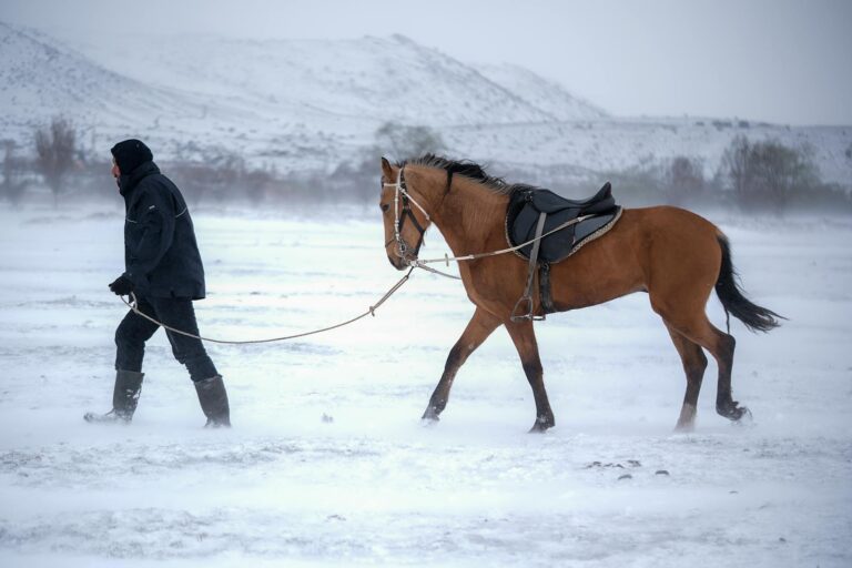 Weather Extremes Lead to Increased Health Risks - Featured image