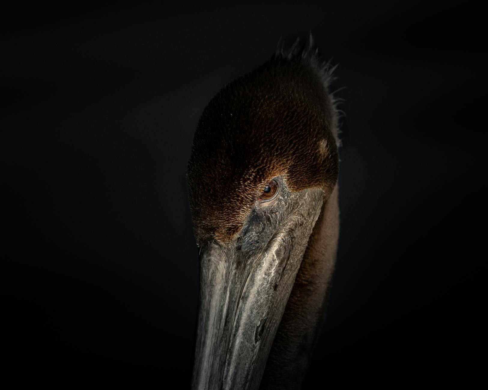 What Are GLP-1 Weight Loss Drugs and Why Is Mainstream Medicine Paying Attention?