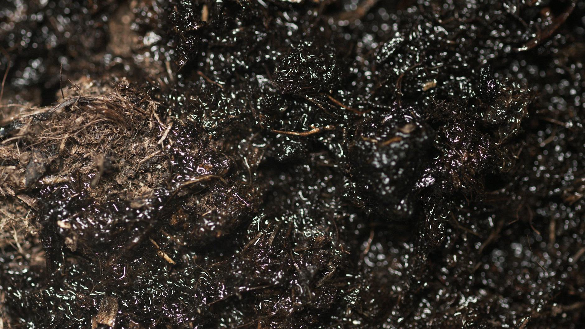 What Are Micro-Tears and Why Does Physical Exfoliation Cause Them?