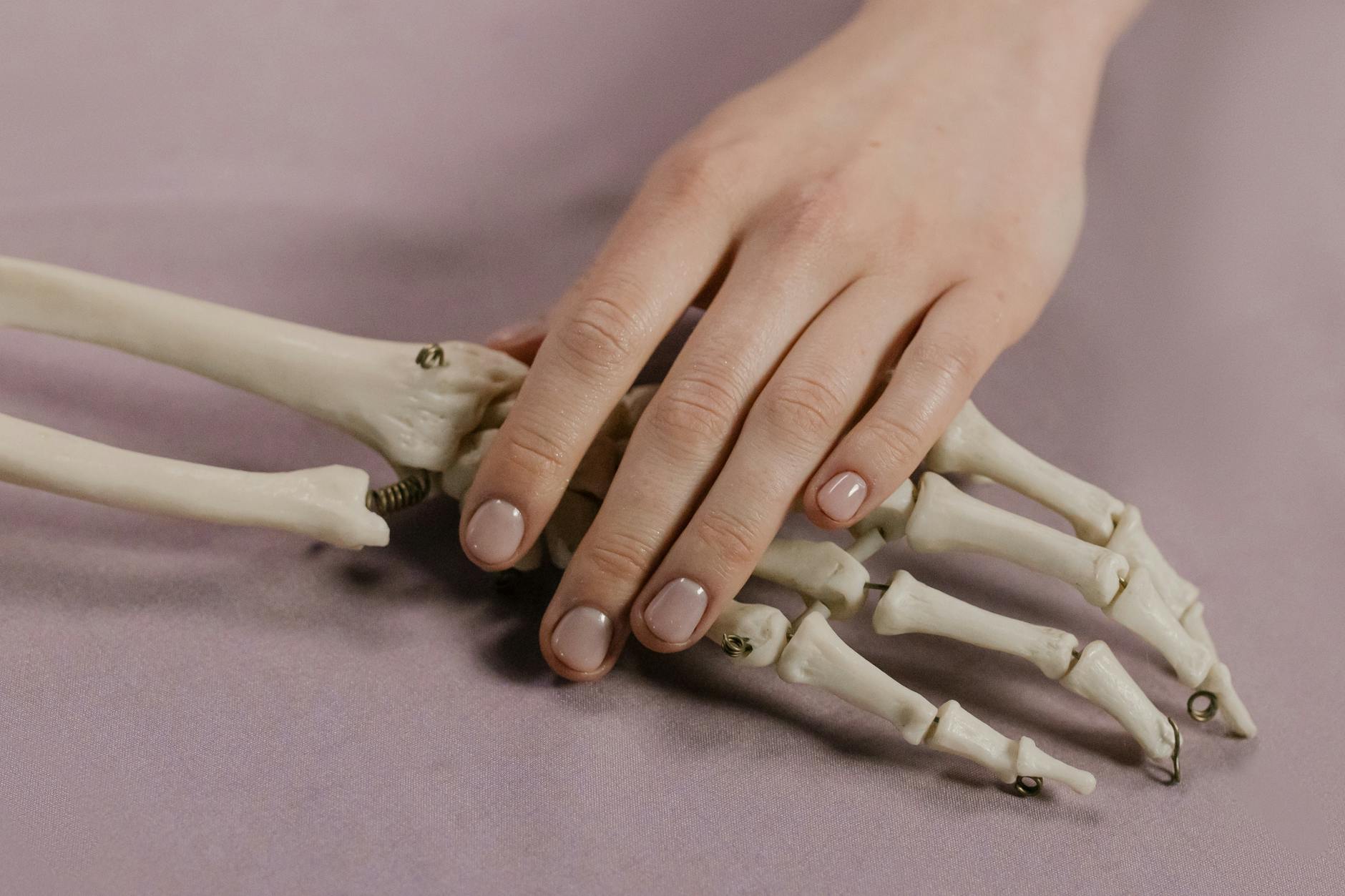 What Are Structural and Degenerative Causes That Affect the Spine's Architecture?
