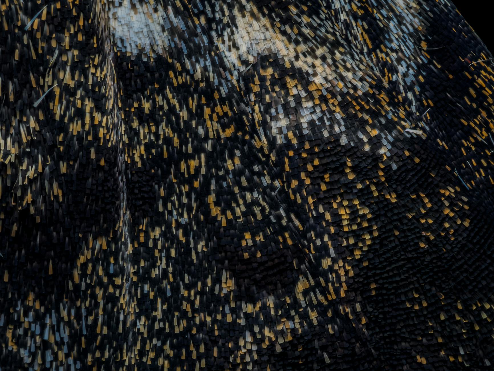 What Are the 8 Primary Signs Your Spine Is Changing?