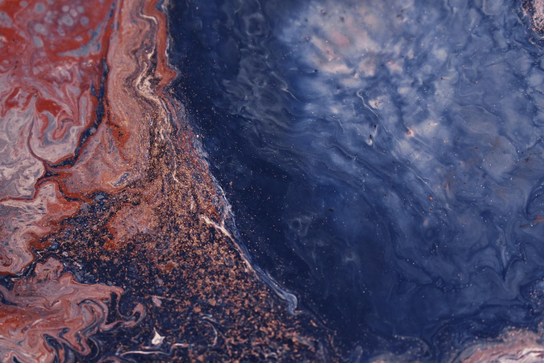 What Are the Deep Spine Muscles and Why Does the Bird Dog Target Them?