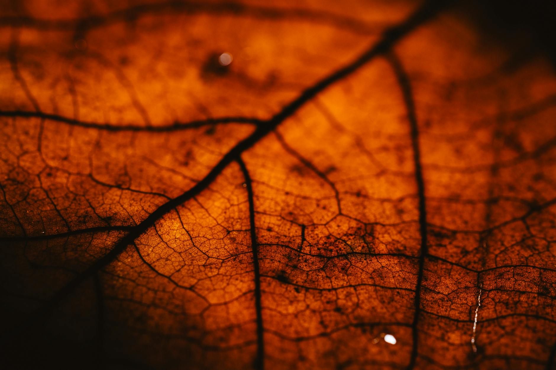 What Are the Earliest Signs of Spine Degeneration Most People Miss?