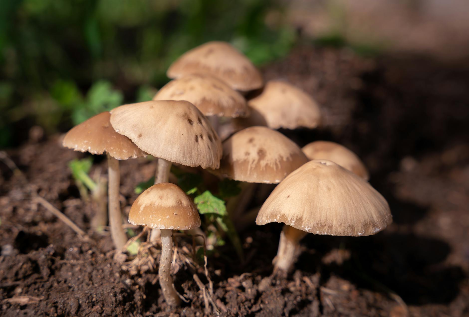 What Are the Earliest Symptoms of a Bulging Disc, and Why Do They Start So Slowly?