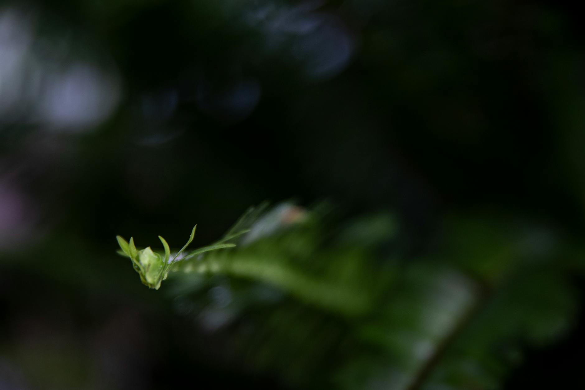 What Are the Early Warning Signs of Lumbar Spine Instability?