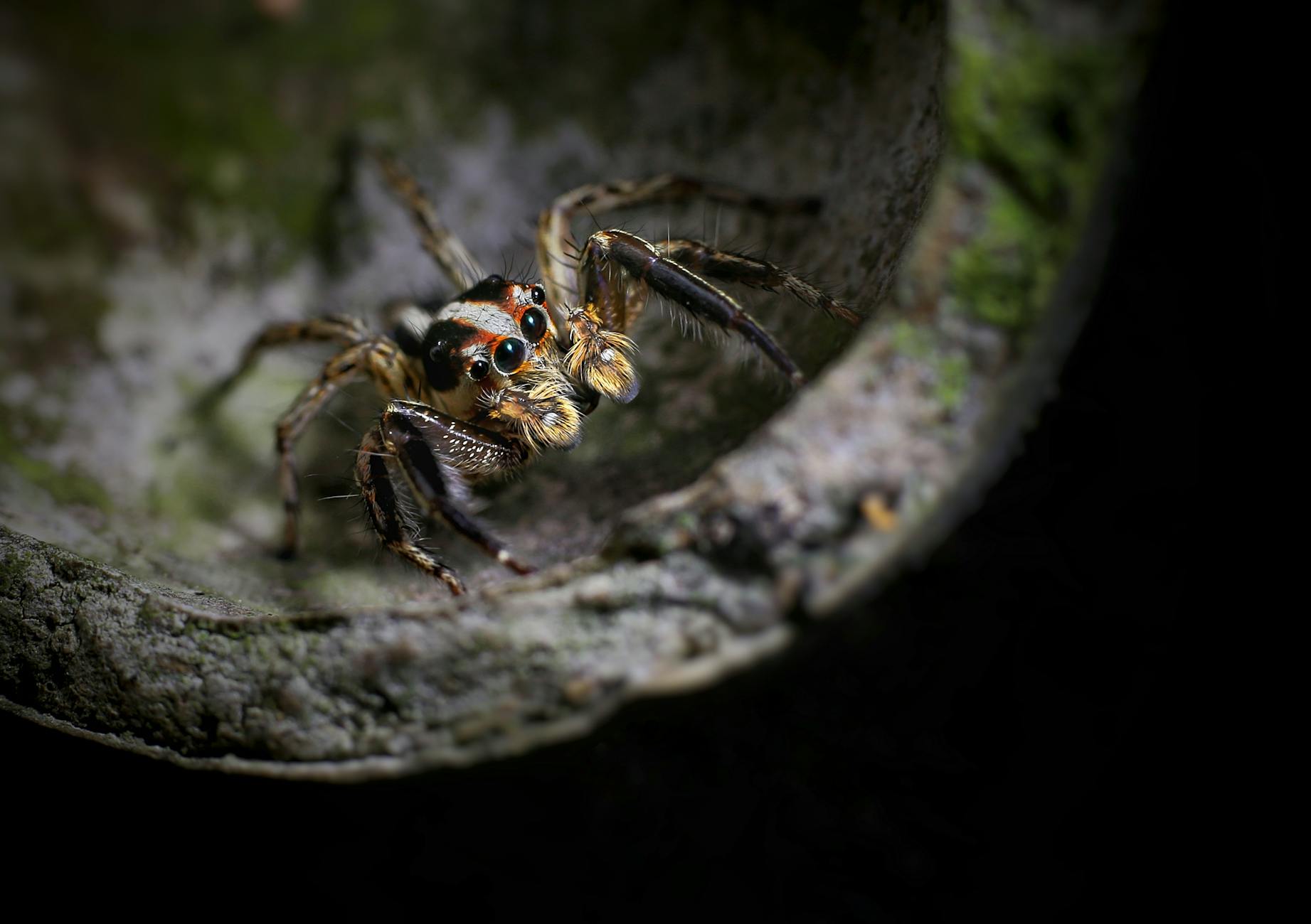 What Are the Eight Leading Causes of Chronic Lower Back Pain?