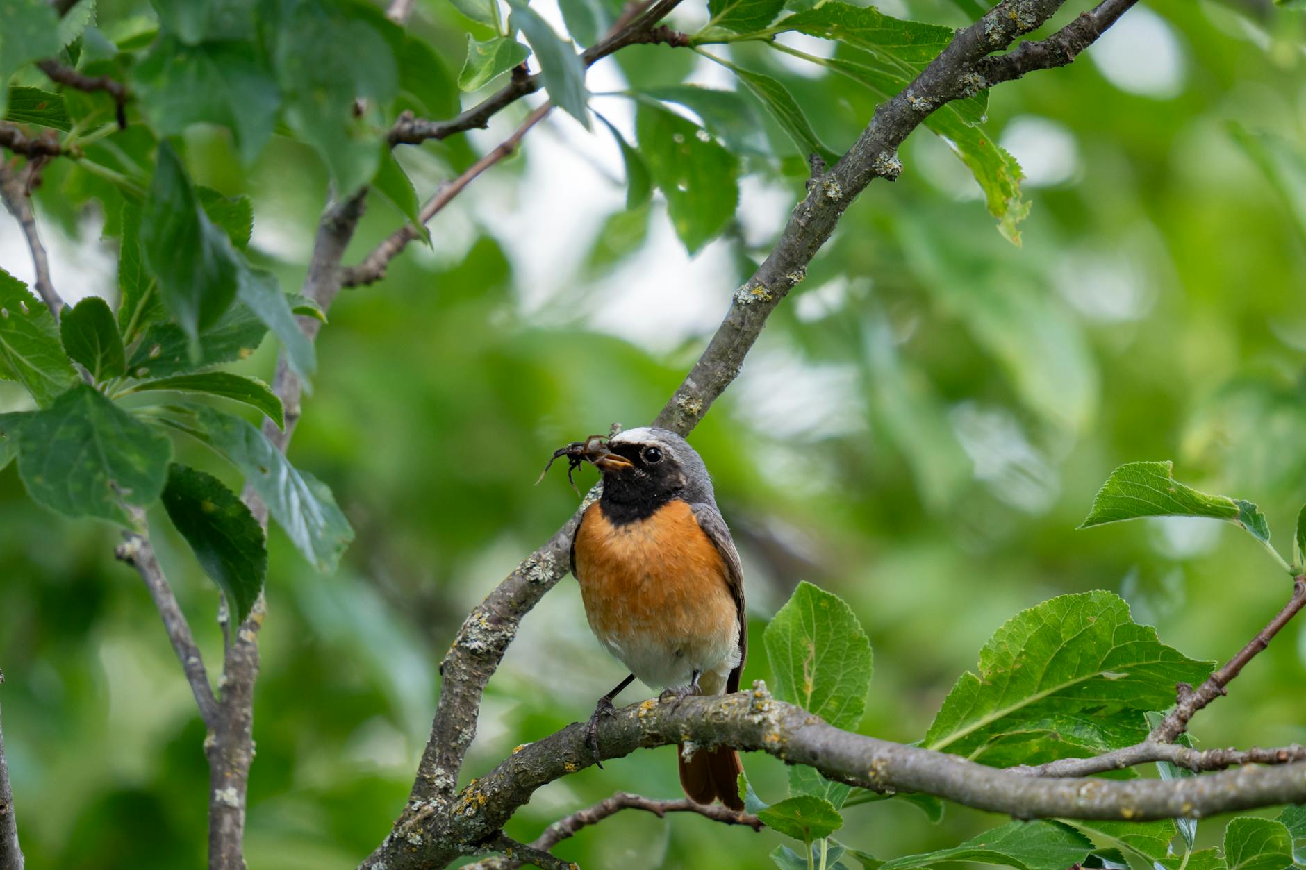 What Are the Most Common Causes of Pelvic Pain in Women?