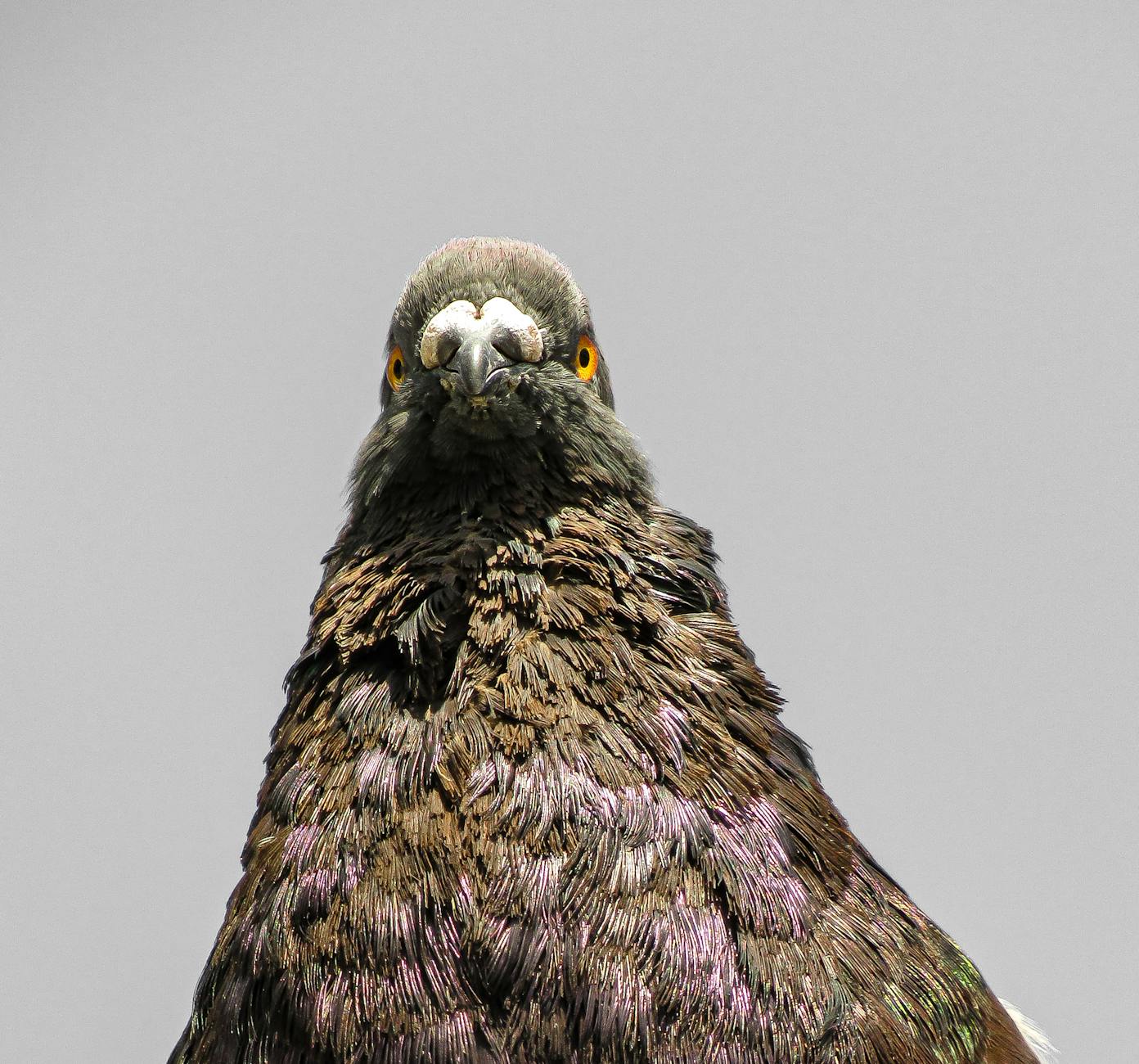 What Are the Most Common Causes of Herniated Discs That Spine Doctors Diagnose Every Week?