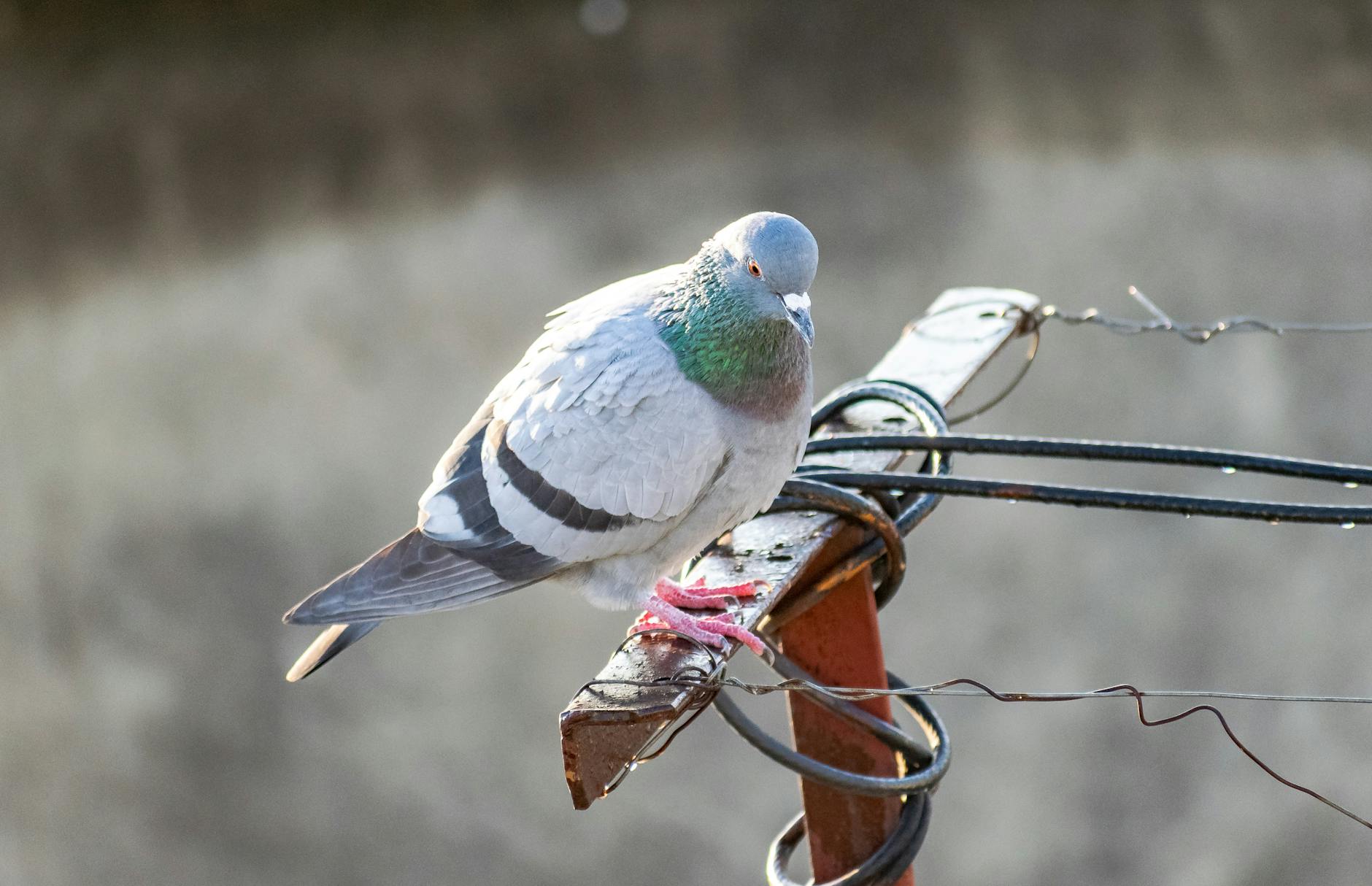 What Are the Most Common Sitting Habits That Aggravate SI Joint Dysfunction?