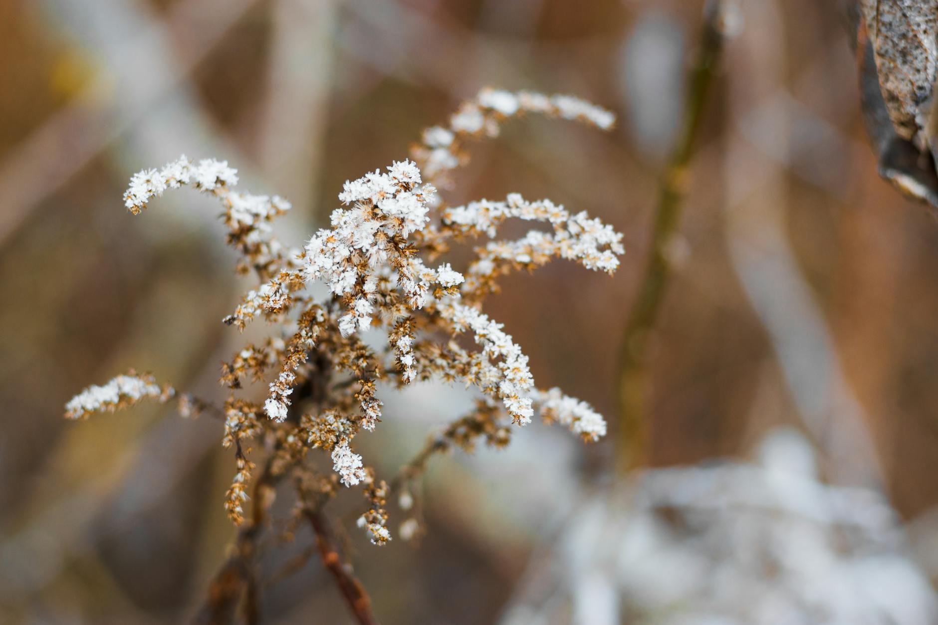 What Are the Most Effective Stretches Doctors Recommend for SI Joint Pain?