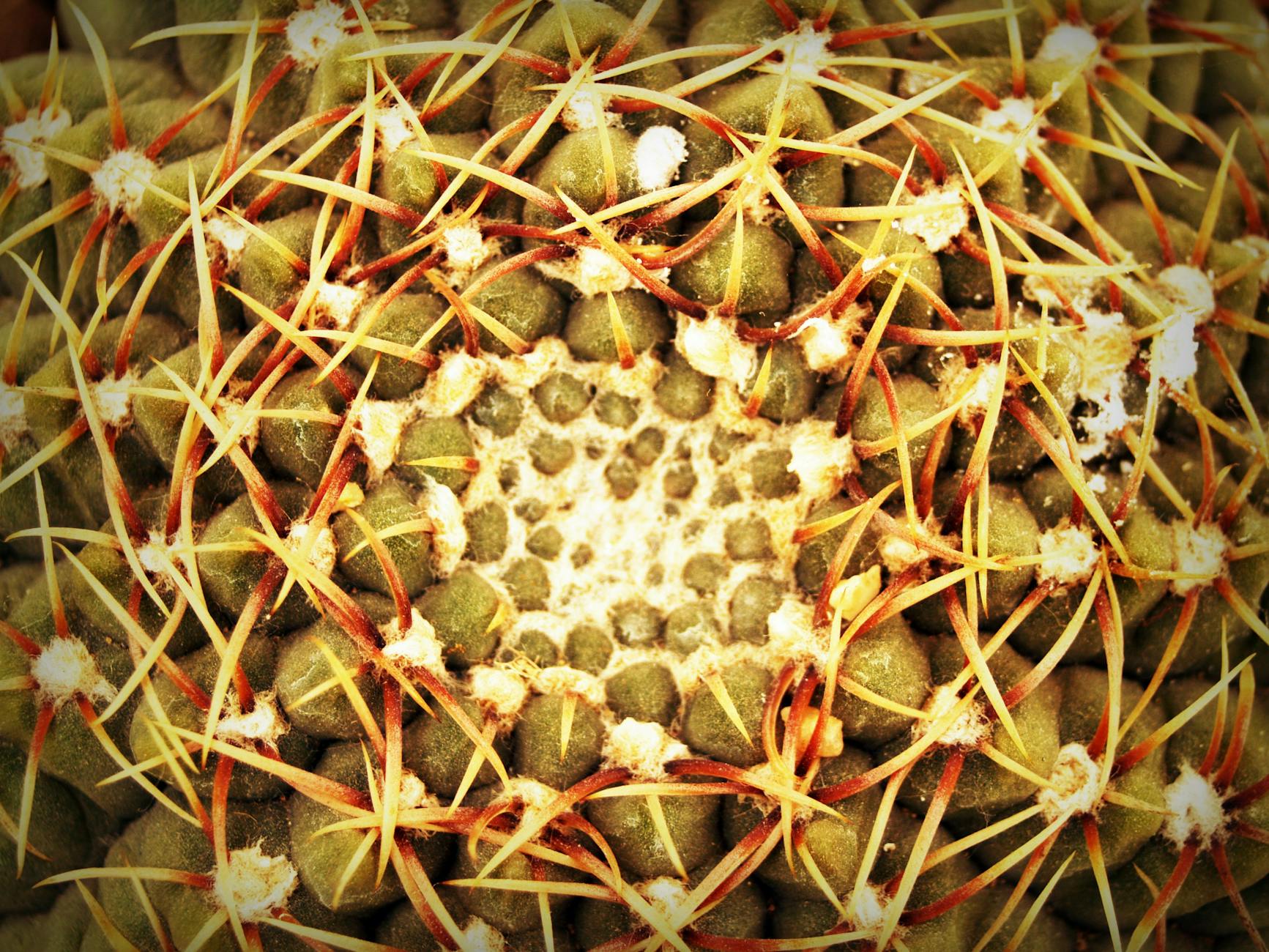 What Are the Sharp and Shooting Pains in Lower Back Nerve Irritation?