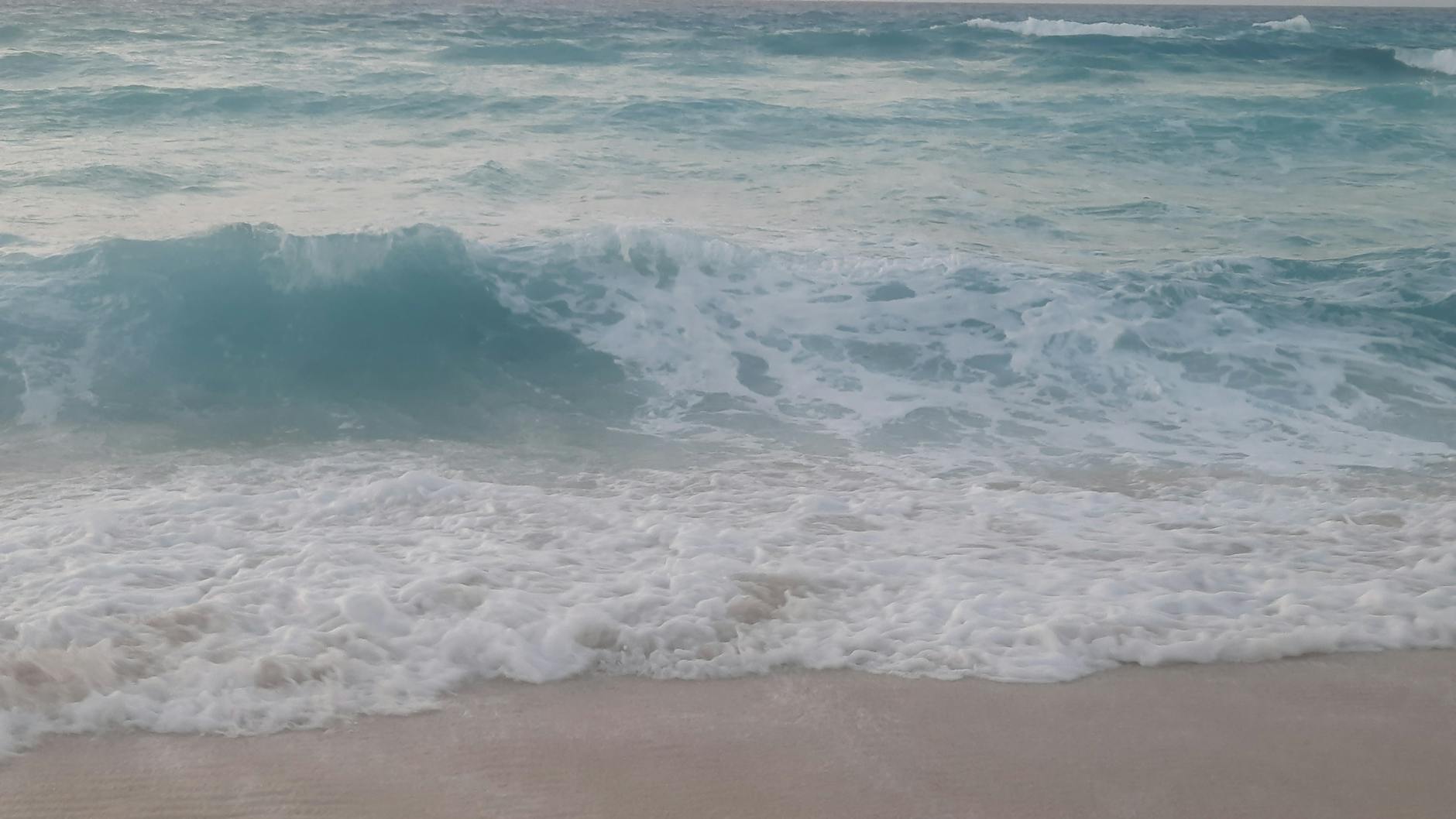 What Determines Whether a Patient Gets Immunotherapy, Chemotherapy, or Both?