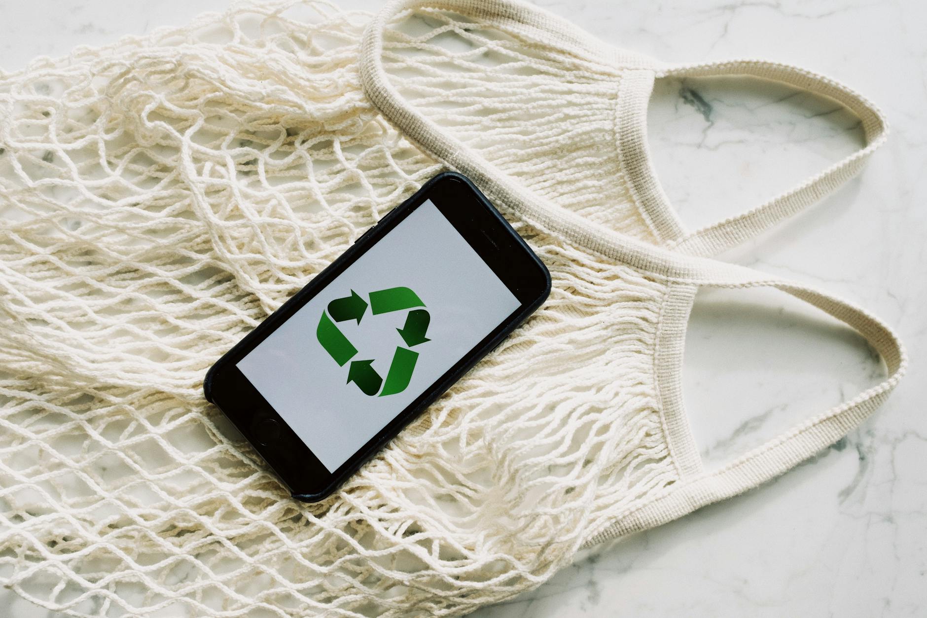 What Did Major Environmental Organizations Actually Say Publicly?