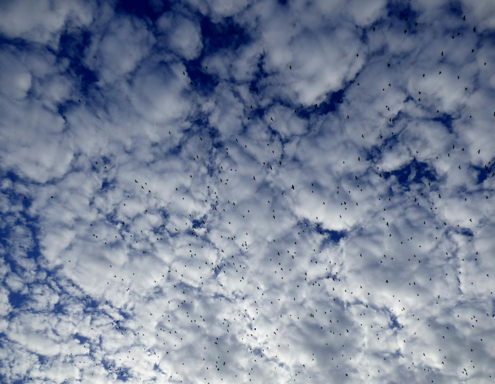 What Do Current Environmental Measurements Actually Tell Us?