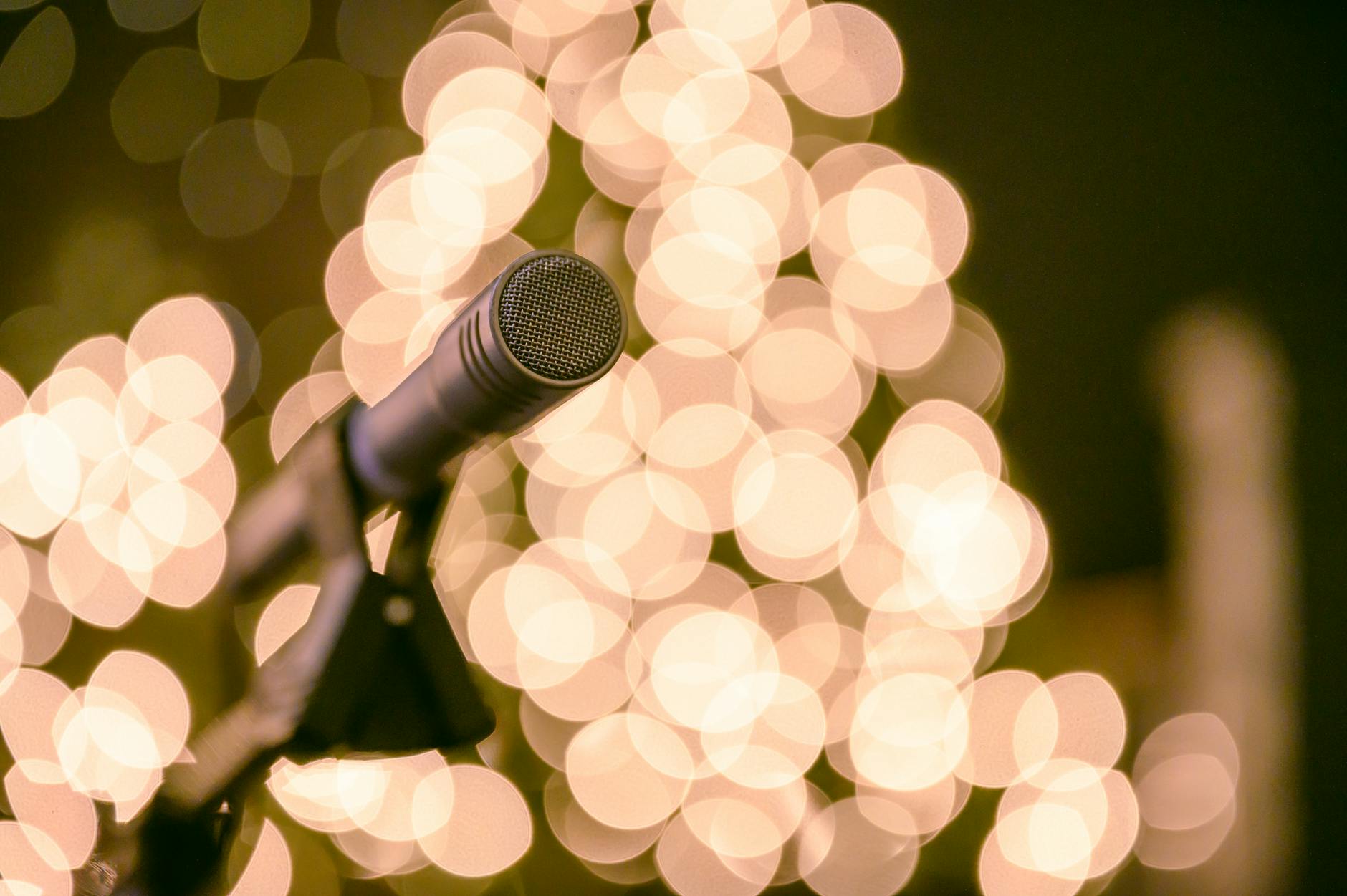 What Do Speech Patterns Reveal About Brain Health?