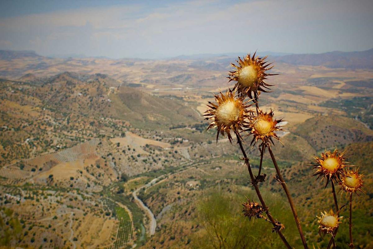 What Does Lower Back Pain From a Lumbar Spine Injury Feel Like?