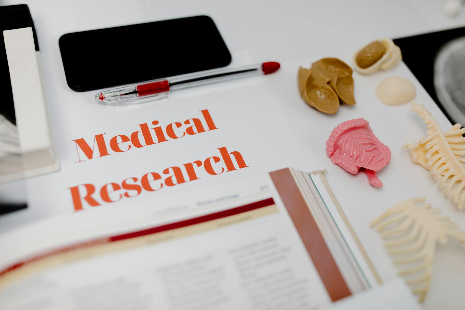 What Does Microtubule Research Reveal About Different Forms of Dementia?