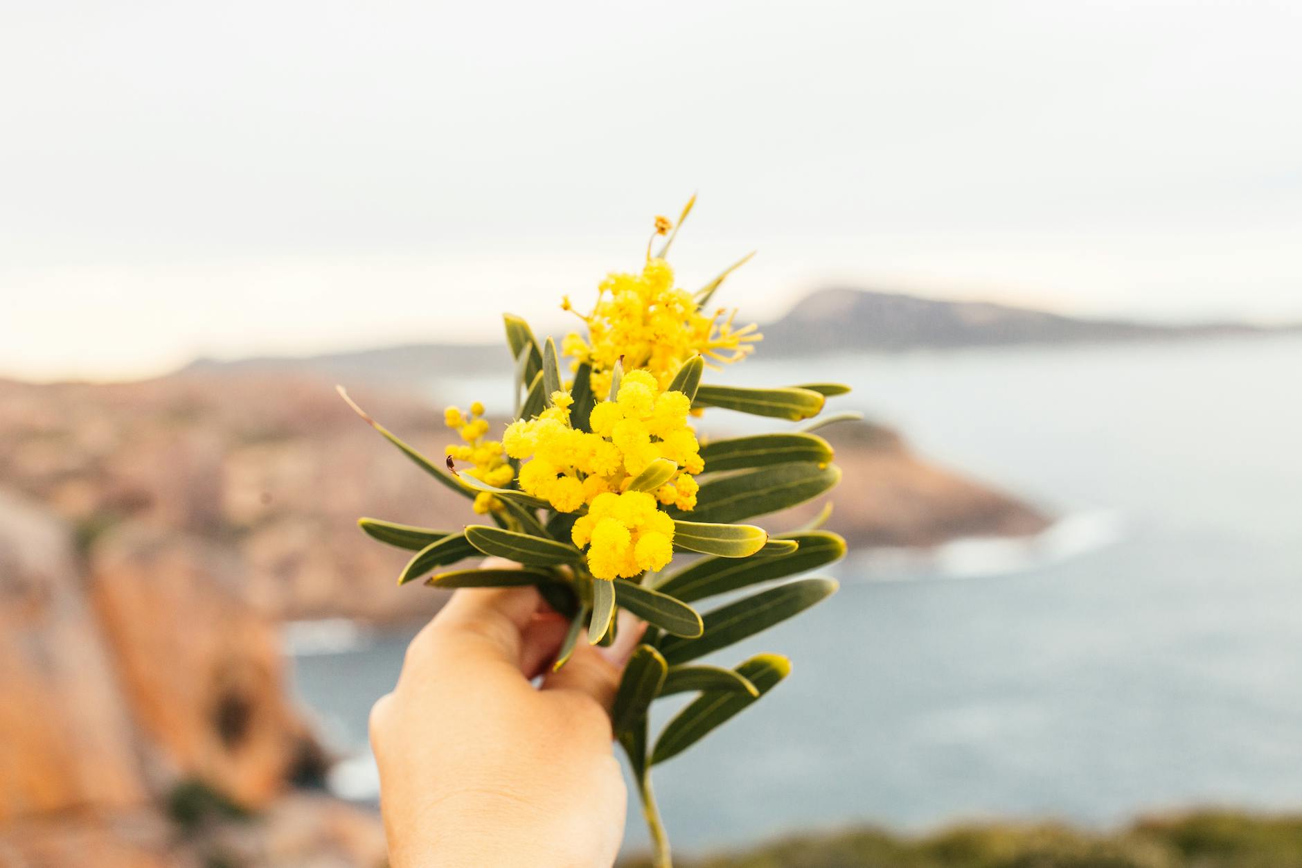 What Does Non-Comedogenic Mean and Why Does It Matter for Your Skin?