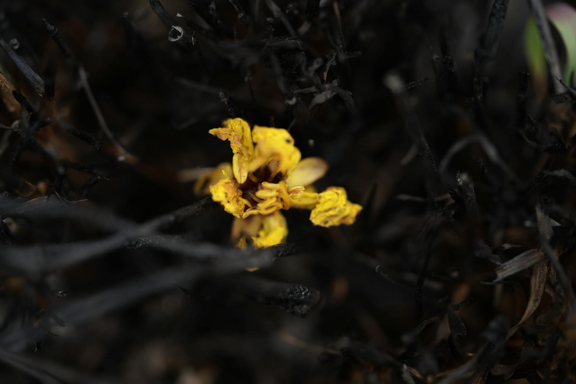 What Does Persistent Lower Back Pain Actually Signal About Core Strength?