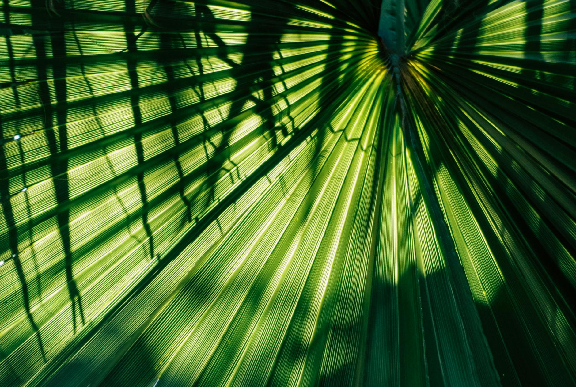 What Does Radiating Sciatic Pain Actually Feel Like?