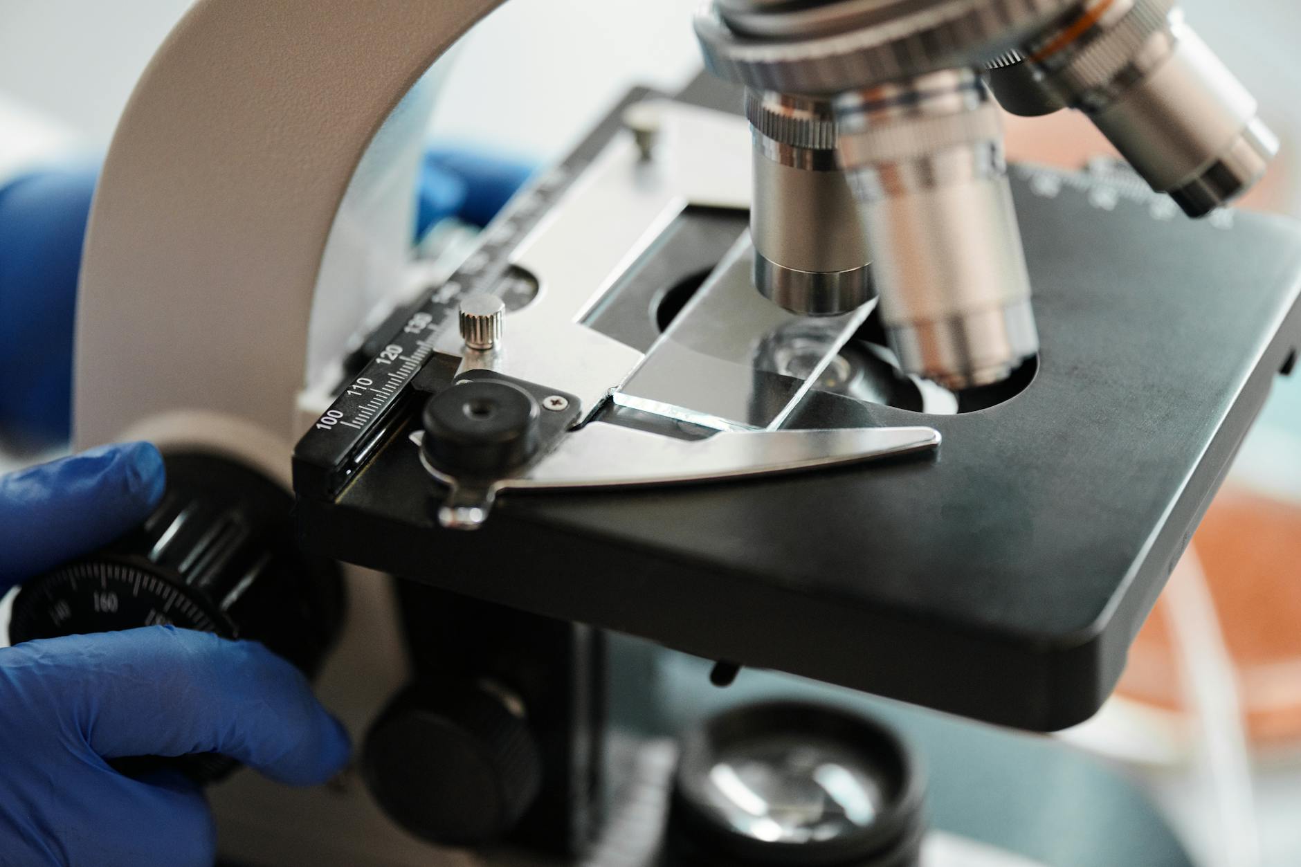 What Does Recent Research Reveal About Infections and Cognitive Decline?