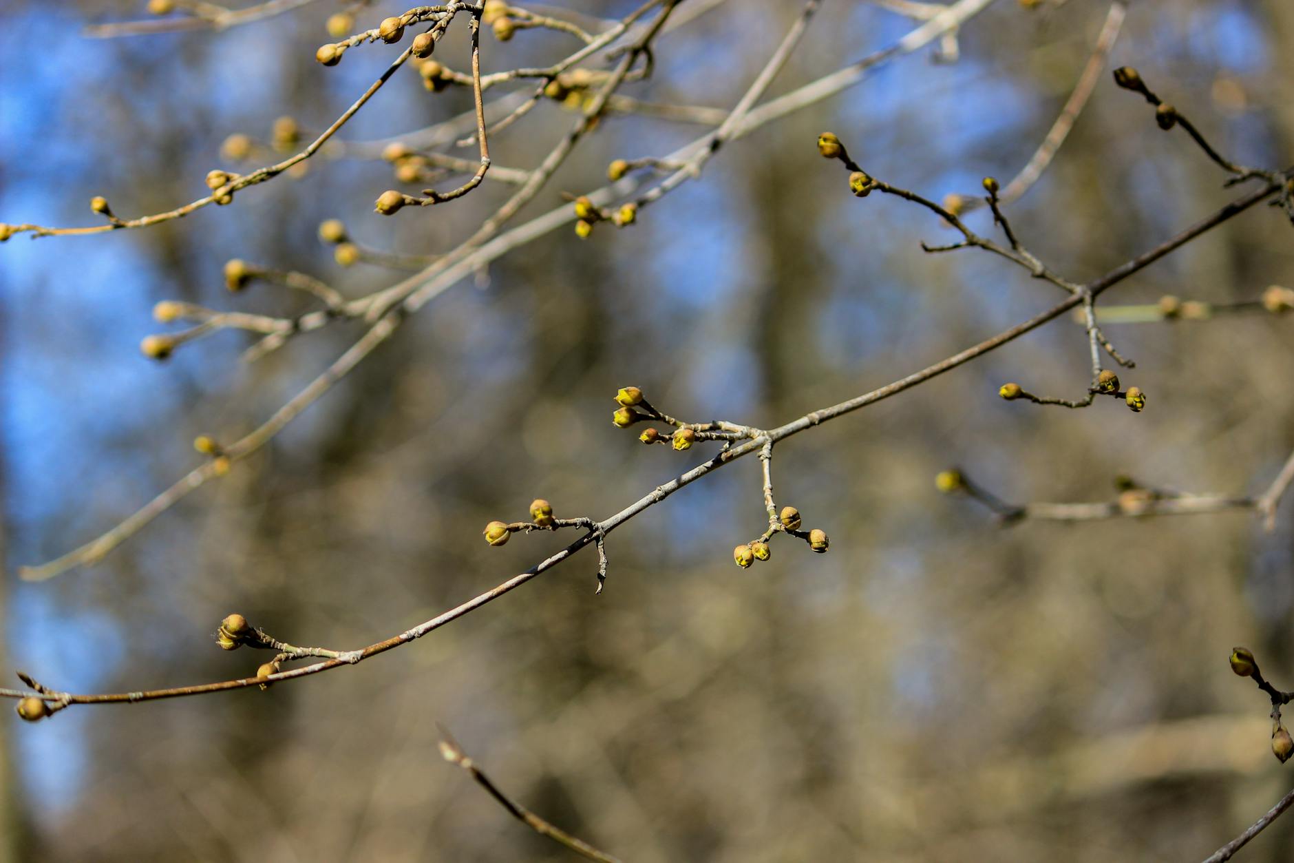 What Exactly Changed in the 2025–2026 Childhood Vaccine Schedule?