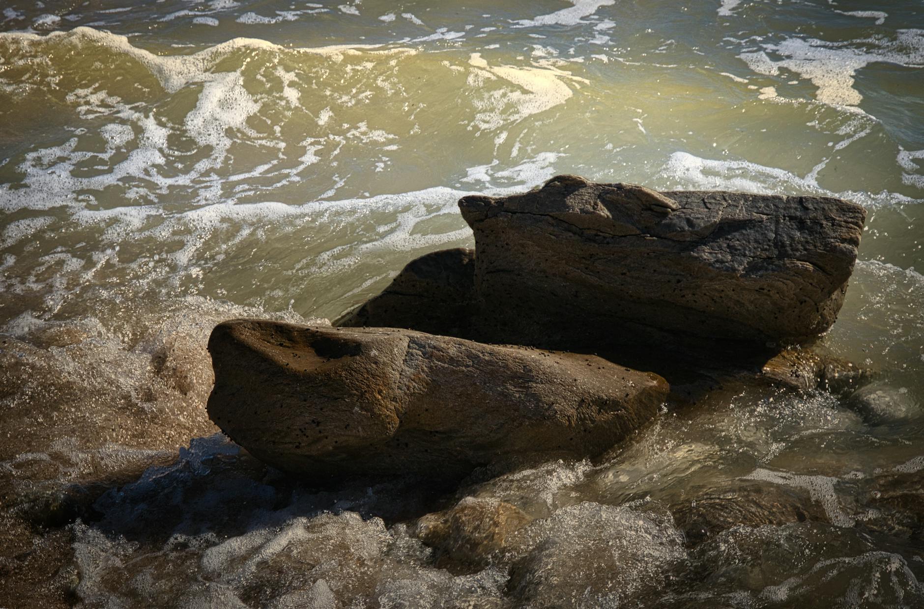 What Has the FDA Done About Gabapentin Abuse?