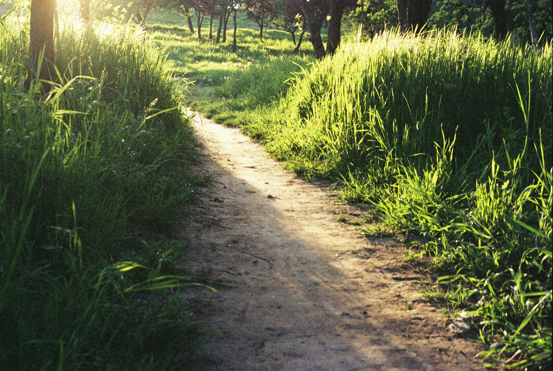 What Is the CRL5SOCS4 Protective Pathway and Why Does It Matter?