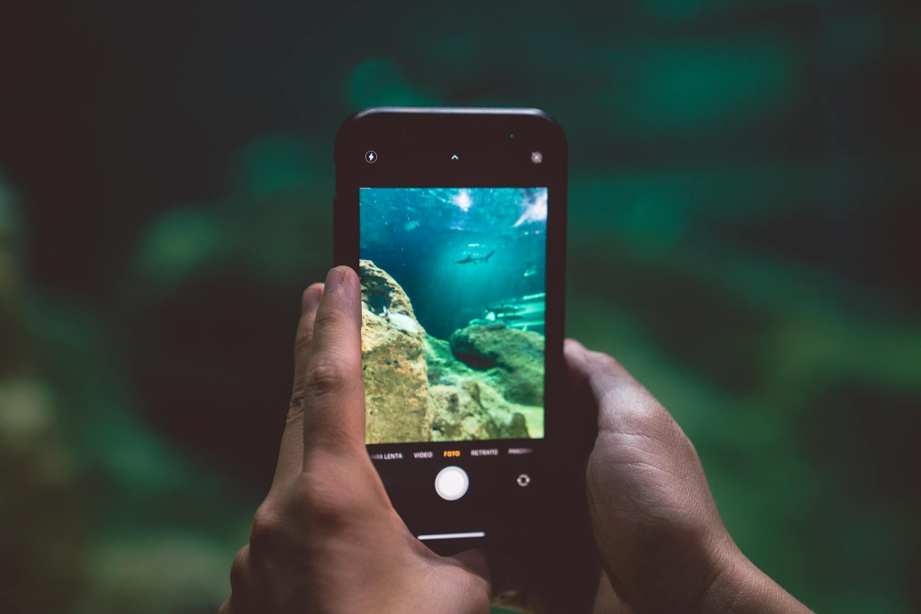 What Made Hulu Decide to Renew 