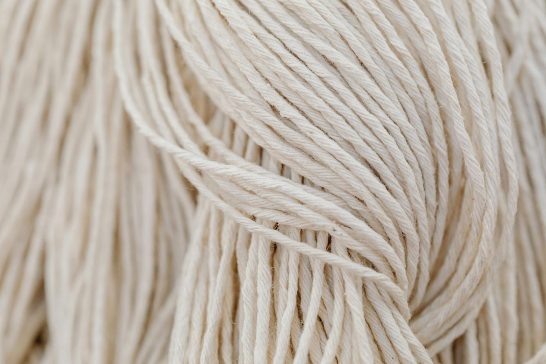 What Makes These Six Exercises the Foundation of Spine Strengthening