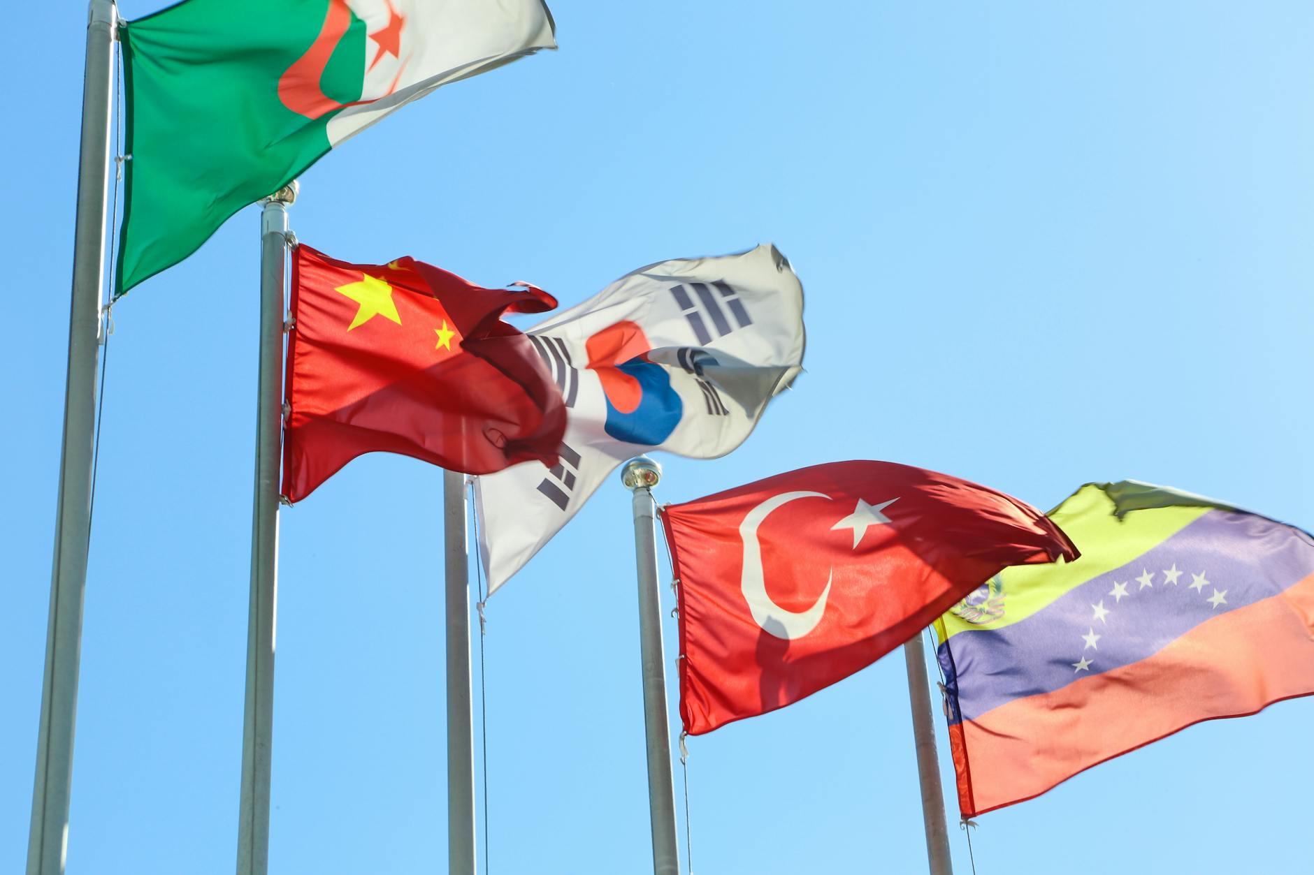 What Role Do Non-Arab Nations Play in This New Alignment?