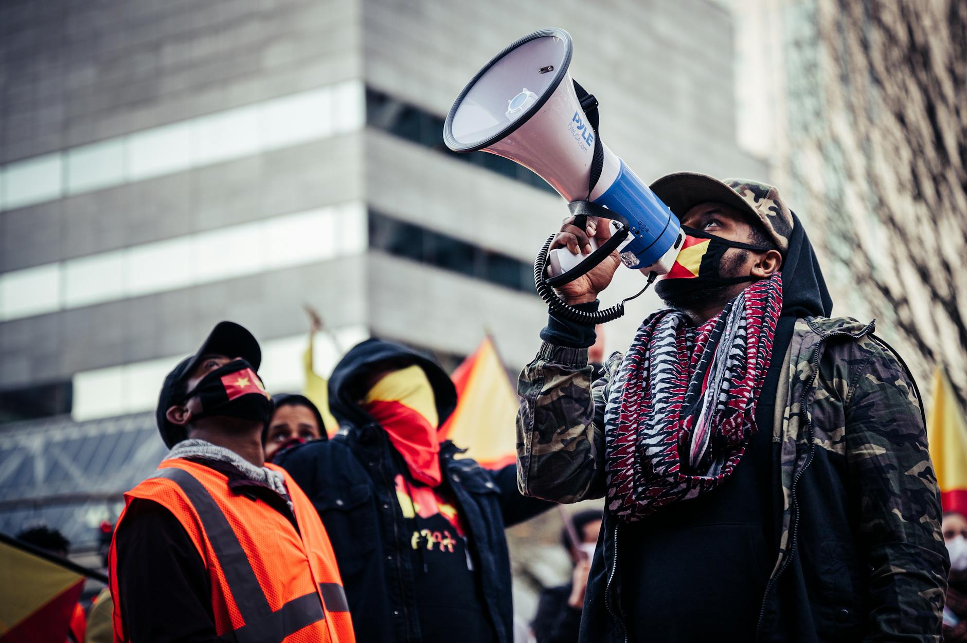 What Triggered the Crisis Response and Subsequent Backlash?