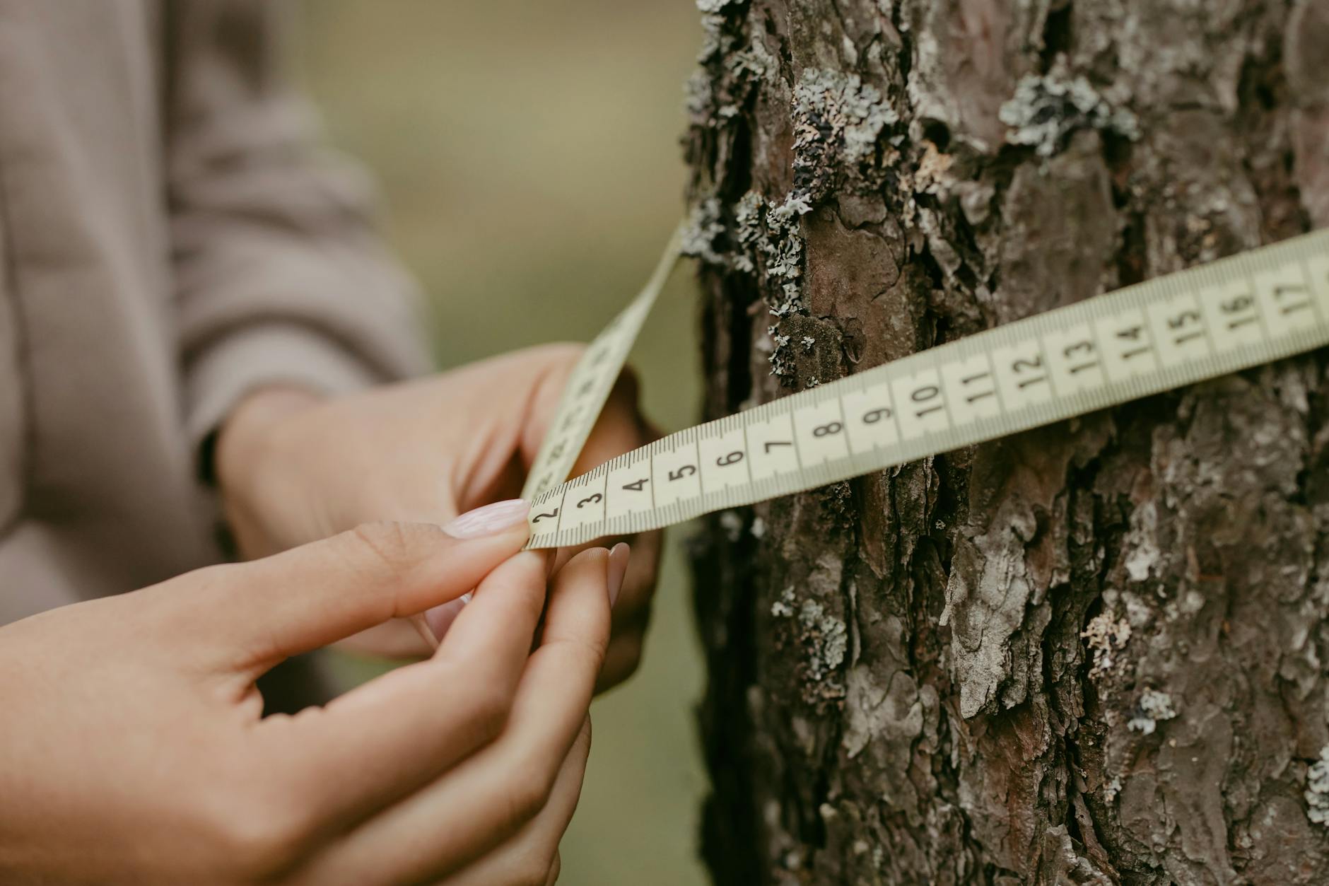 What Was the Scale and Nature of 
