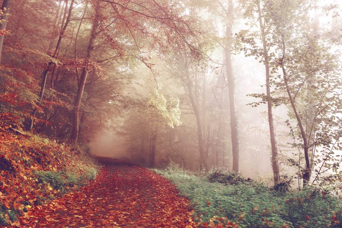 When Do Disc Injuries Not Improve and What Are the Warning Signs?